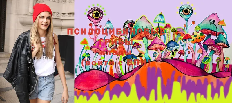 mega ссылки  Асино  Галлюциногенные грибы Magic Shrooms 